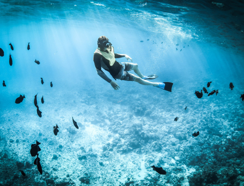 Per què practicar diving snorkel a l’hivern en la Costa Brava?