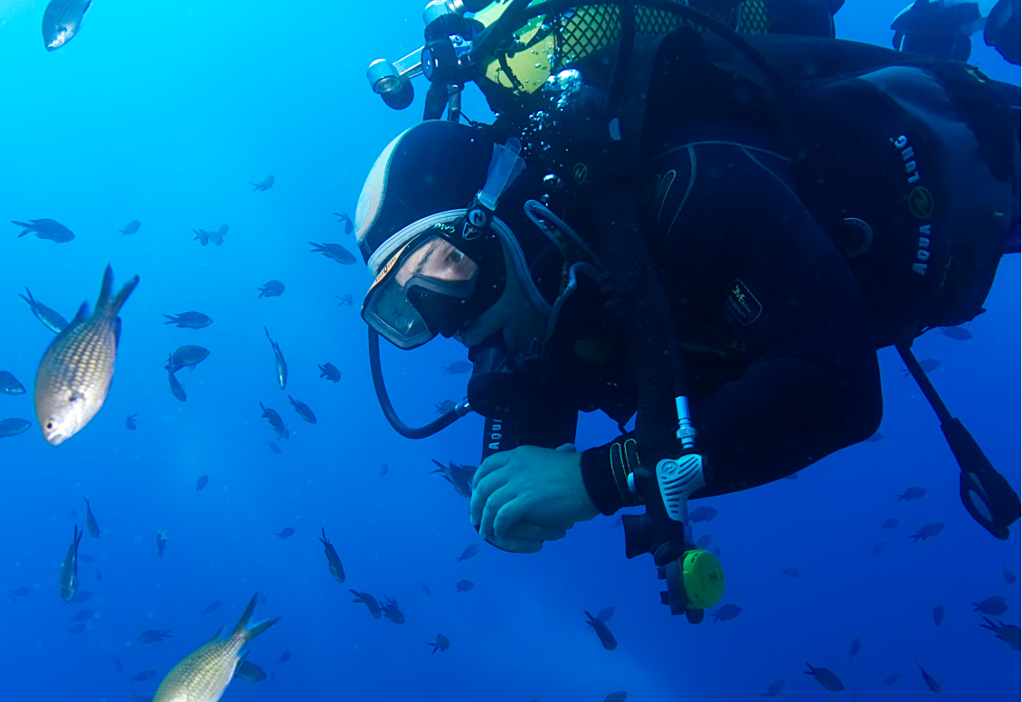 Buceador PADI Open Water en un curso de buceo en Costa Brava, rodeado de peces