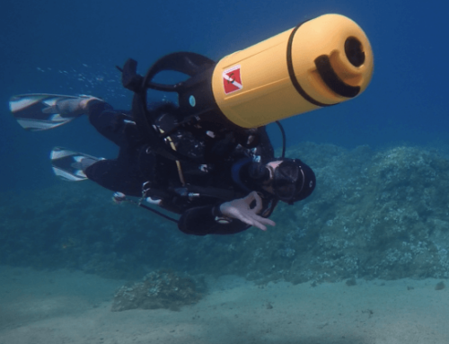 Advanced Open Water Diver: Requisitos y beneficios para avanzar en tu formación de buceo